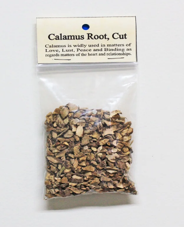 Calamus Root Cut .5 oz Bag